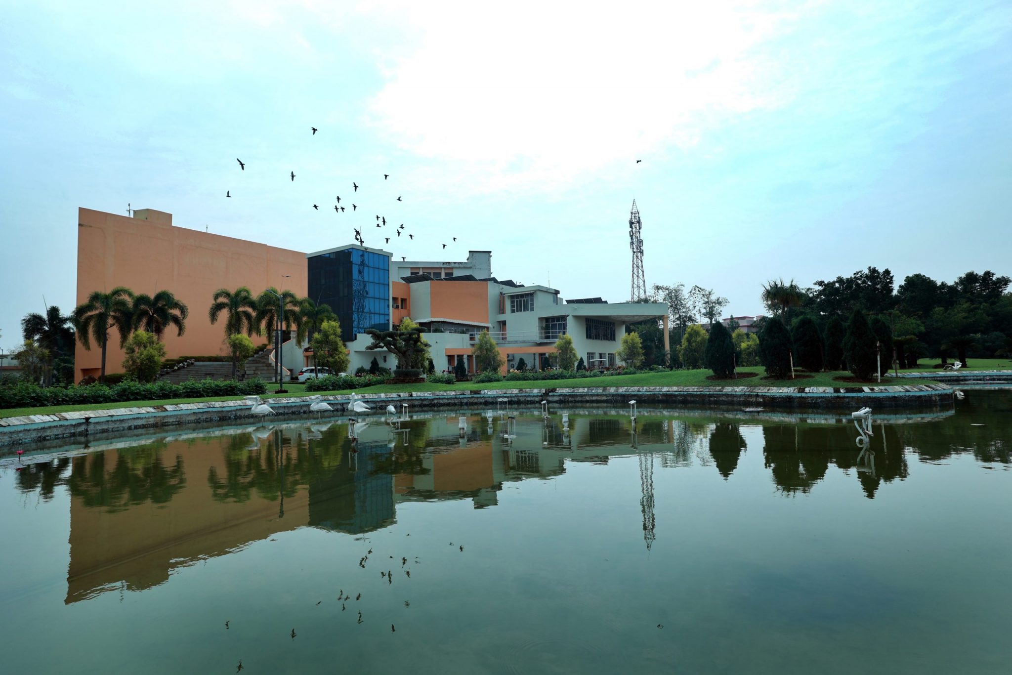UG for B.Tech